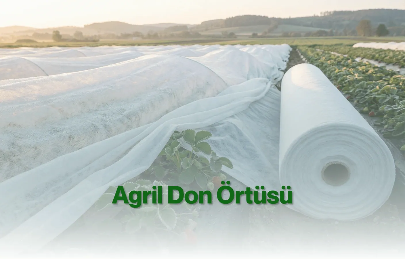 Agril Don Örtüsü