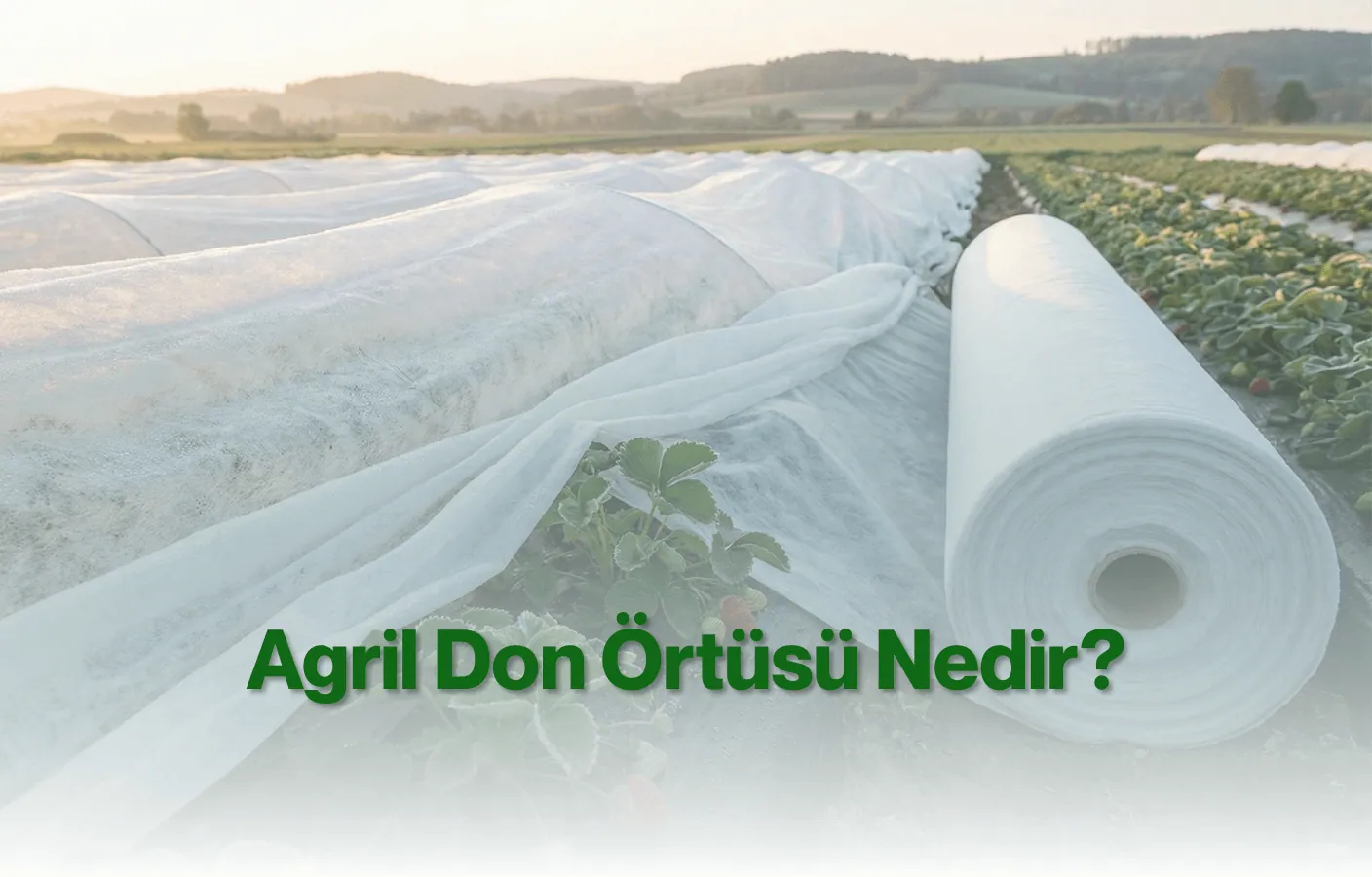 Agril Don Örtüsü Nedir