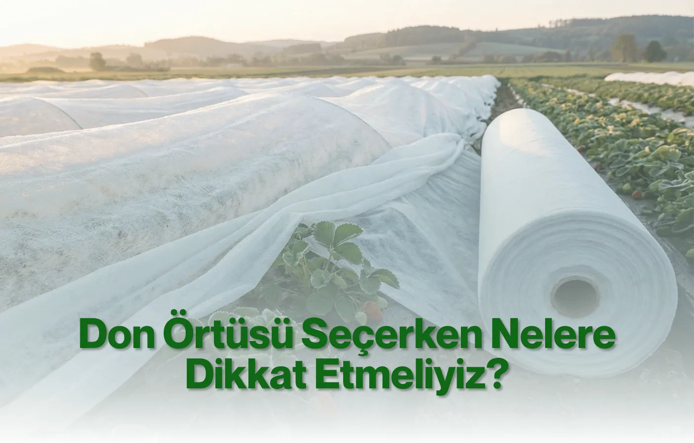 Don Örtüsü Seçerken Nelere Dikkat Etmeliyiz